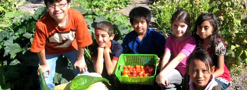 students helping in garden